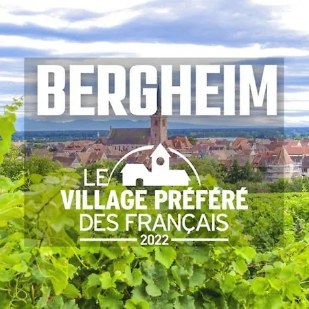 Appartement Piscine Bergheim