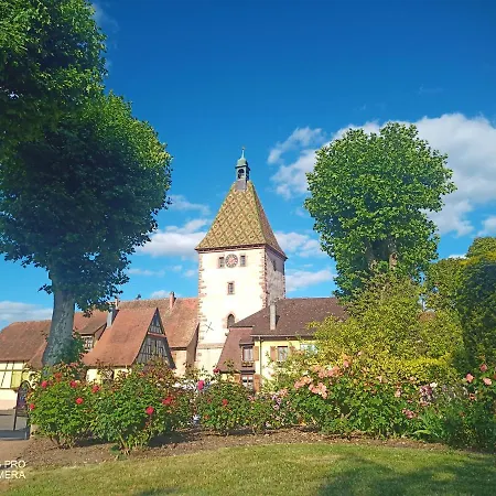 Appartement Piscine *