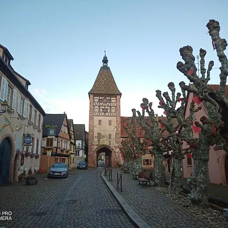 Piscine 贝尔盖姆