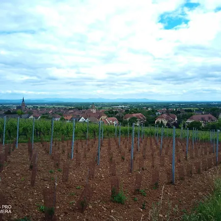 Appartement Piscine *